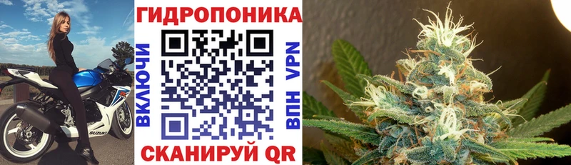 Конопля план  кракен онион  Суоярви 